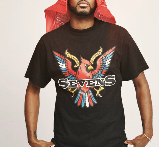 VIRGINIA X DIPSET TEE